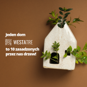 WestaTre i Posadzimy.pl — razem w kierunku ochrony środowiska!